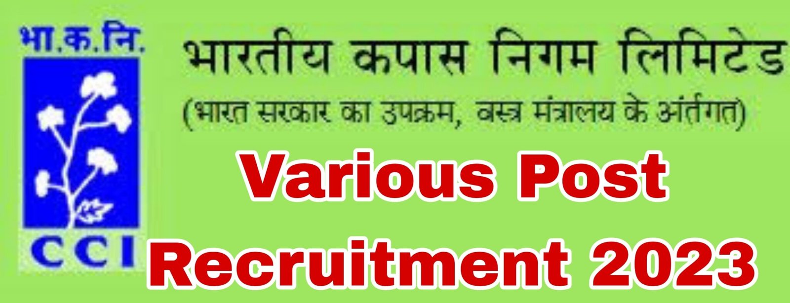 Cotton Corporation of India Recruitment 2023 Best Job