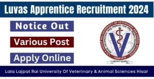 Luvas Apprentice Recruitment 2024