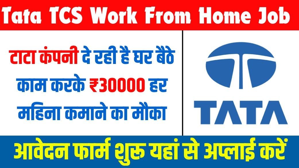 Tata TCS work from home job